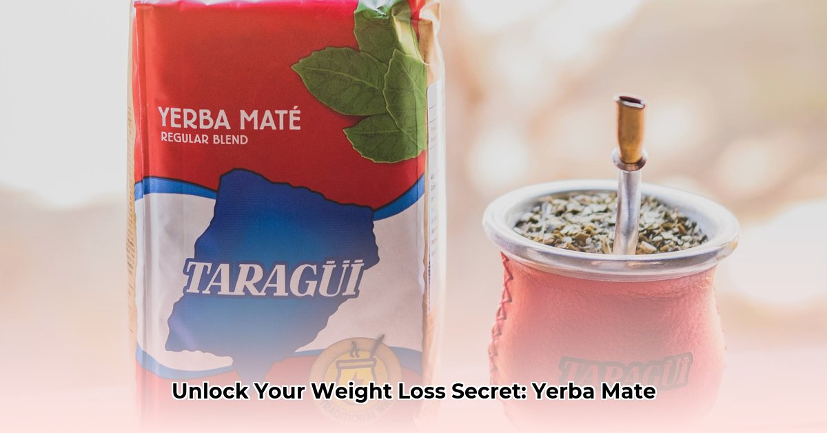 best-yerba-mate-for-weight-loss